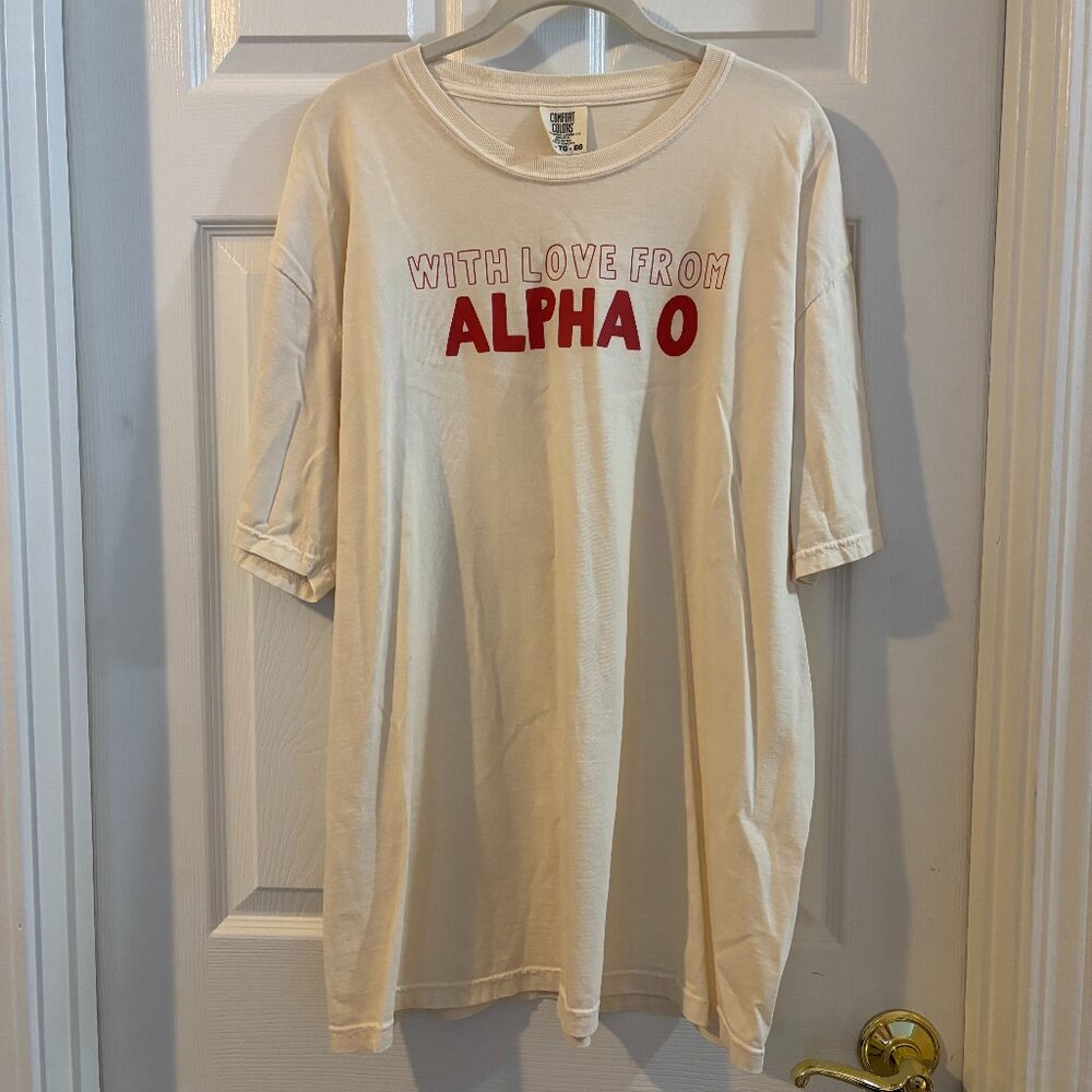 Alpha Omicron Pi Icons Tee